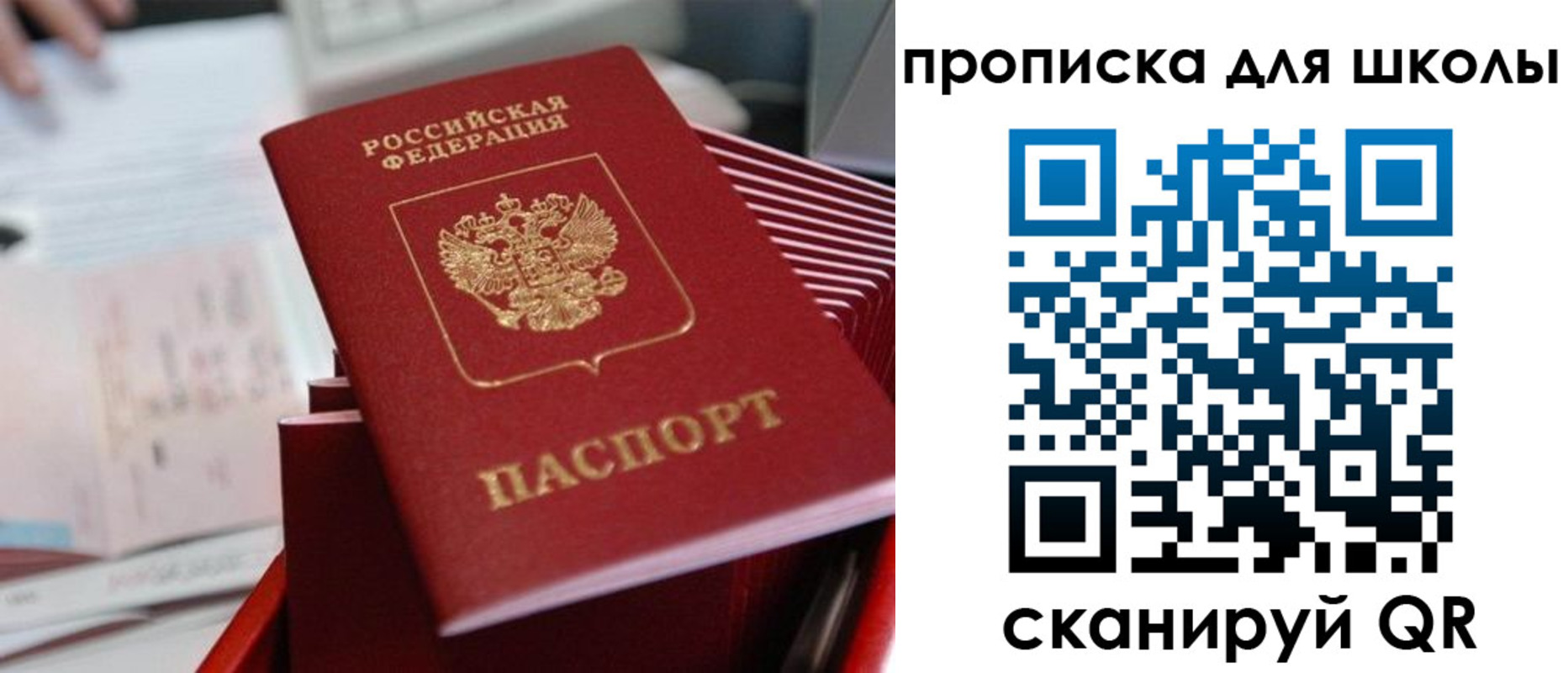 прописка для школы в Голицыно